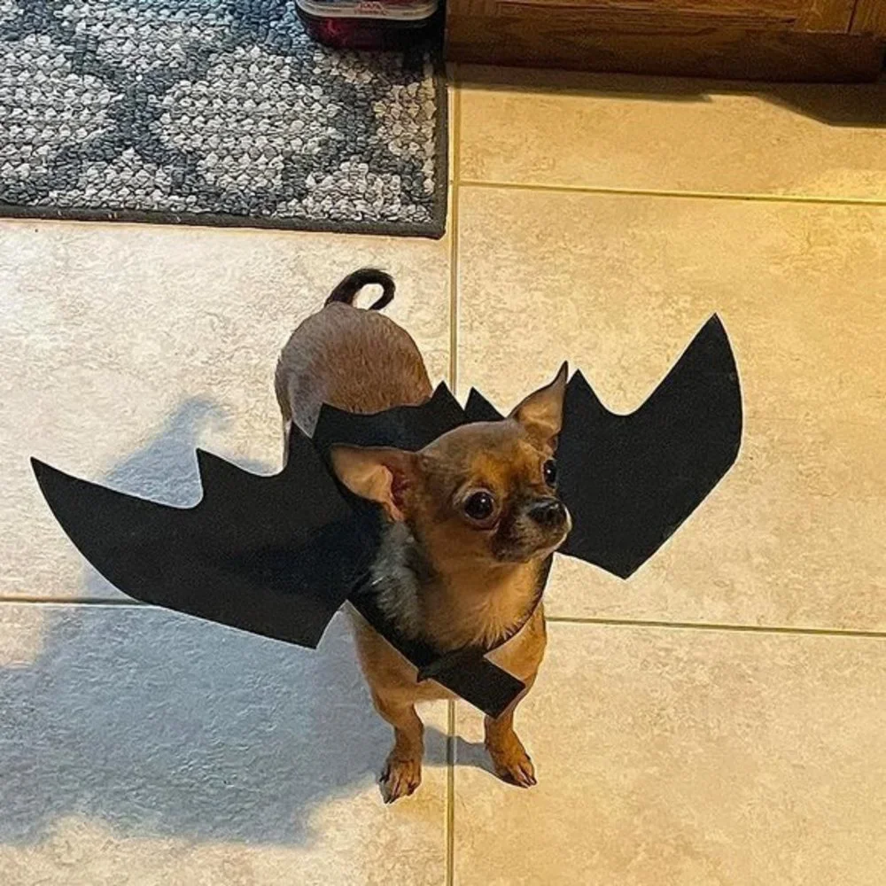 Pet‎ Cat Bat Wings for Halloween Party Decoration